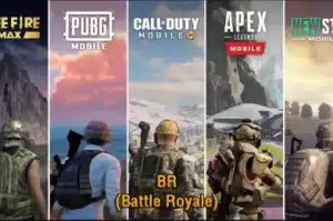 BR (Battle Royale)